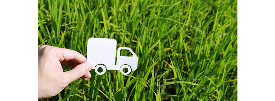 Meet Sustainability Goals with the Help of a TMS
