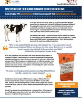 VPSI Kuebix Case Study