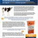 VPSI Kuebix Case Study