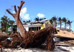 Bahamas - Hurricane Dorian Supply Chain Kuebix
