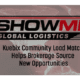 show me global logistics case study