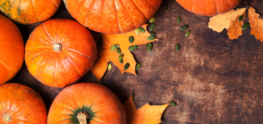 Seasonal Flavors Like Pumpkin Spice Add Complexity to Supply Chains Before the Holidays